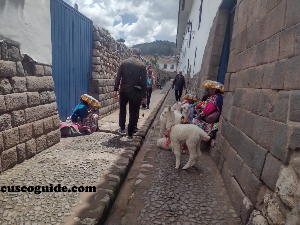 Calle Inca.